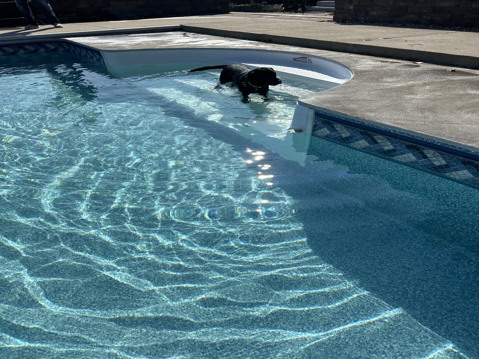 Summer pool season - freshly filled pool